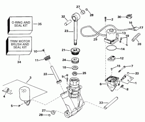   Hydraulic Assembly (Power Trim/tilt Hydraulic Assembly)