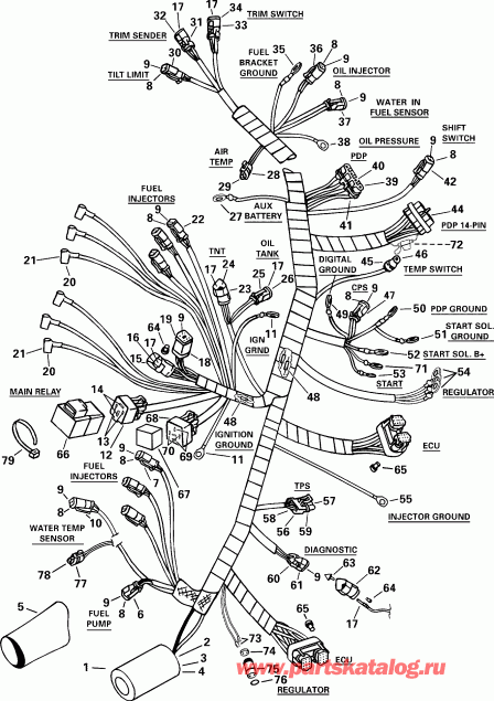 ��������� Evinrude RE150FCSSM FFI, Elec Start, TNT, 25 IN.   - tor ������ Assembly - tor Cable Assembly