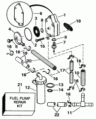   (Fuel Pump)