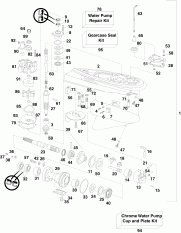  Px Models (Gearcase Px Models)