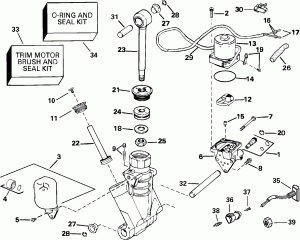    Hydraulic Assembly (Power Trim/tilt Hydraulic Assembly)