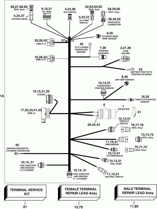  Evinrude E60WDRLSOS  - gine Electrical Harness