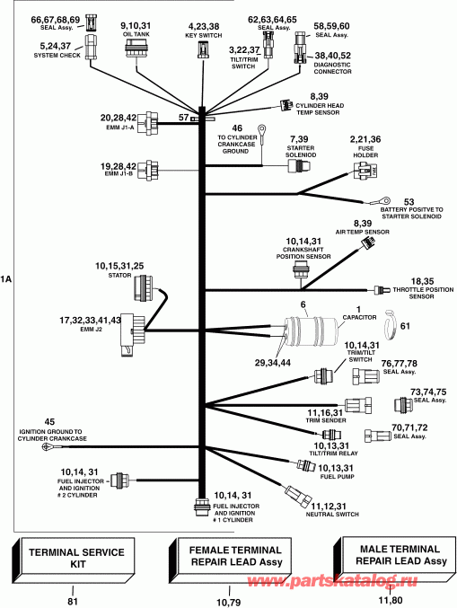  Evinrude E60WDRYSOS  - gine Electrical Harness
