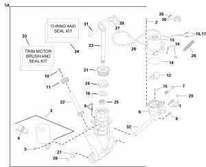 Trim & Tilt Hydraulic Assembly (early Puction) (Trim & Tilt Hydraulic Assembly (early Production))