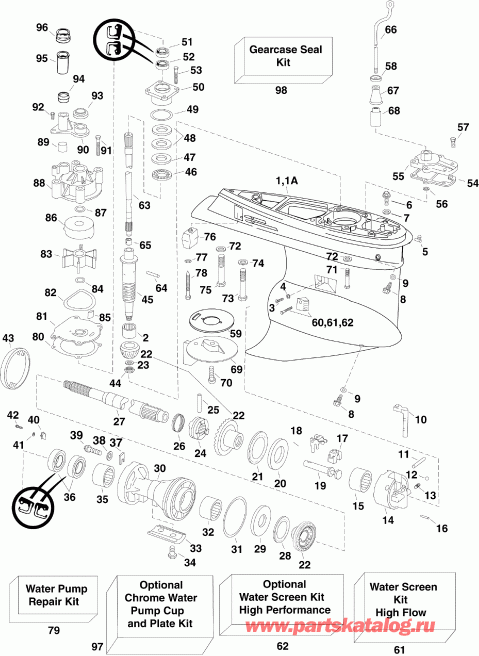   Evinrude E250DPZSCM  - arcase