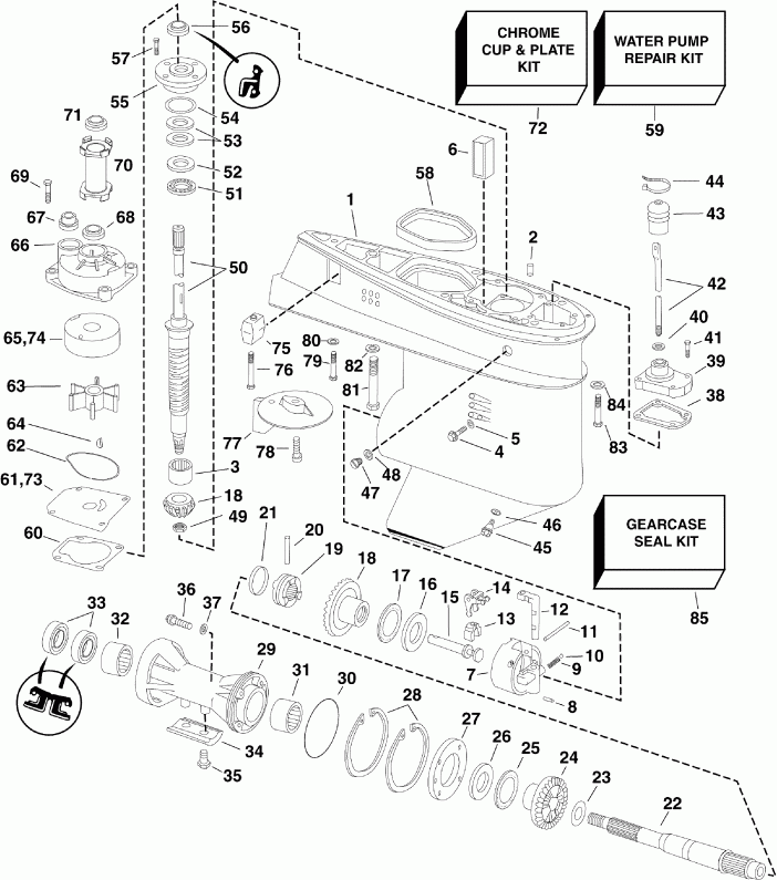 ��������� ����� EVINRUDE E60DSLSCS  - arcase / arcase