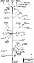   -   (Engine Electrical Harness)