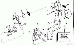     (Fuel Pump And Filter)