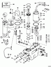    Hydraulic  . (Power Trim/tilt Hydraulic Assy.)