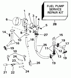   &  (Fuel Pump & Filter)