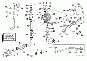   (Fuel Pump)