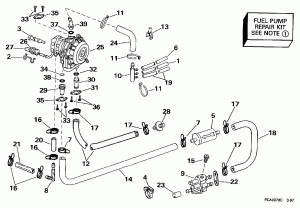   (Fuel Pump)