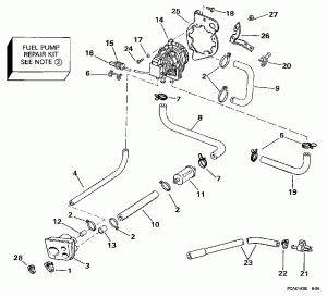   (Fuel Pump)