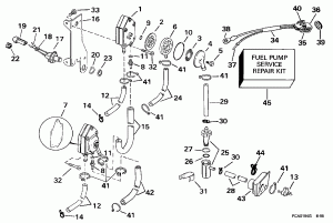   &  (Fuel Pump & Filter)
