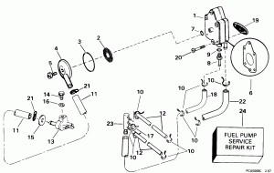   &  (Fuel Pump & Filter)