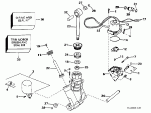    Hydraulic Assembly (Power Trim/tilt Hydraulic Assembly)