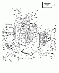  &   (Cylinder & Crankcase)
