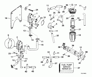   &  (Fuel Pump & Filter)