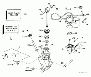    Hydraulic Assembly (Power Trim/tilt Hydraulic Assembly)