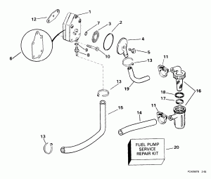  (Fuel Pump)