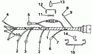  Assembly (Cable Assembly)