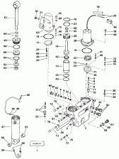    Hydraulic Assembly (Power Trim/tilt Hydraulic Assembly)