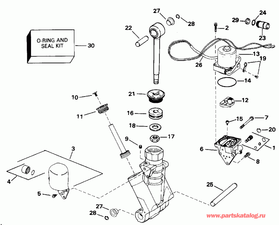   EVINRUDE E225PXENR 1992  - wer Trim / tilt Hydraulic Assembly / wer Trim/tilt Hydraulic Assembly