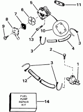   (Fuel Pump)
