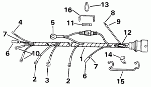  Assembly (Cable Assembly)