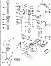    Hydraulic Assembly (Power Trim/tilt Hydraulic Assembly)