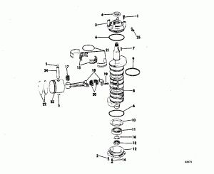 Fuel  & Components (Fuel Bracket & Components)