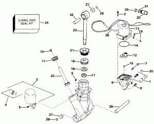   Hydraulic Assembly (Power Trim/tilt Hydraulic Assembly)
