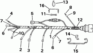  Assembly (Cable Assembly)