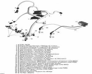 10-     Electronic Module (10- Engine Harness And Electronic Module)
