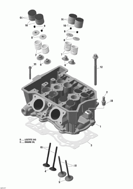 snowmobile Skidoo  Skandic SWT 600 ACE (4-strokes) XU, 2013 - Cylinder Head