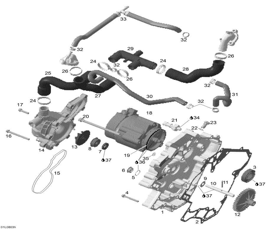 Snowmobile   - Waterpump And Alternator