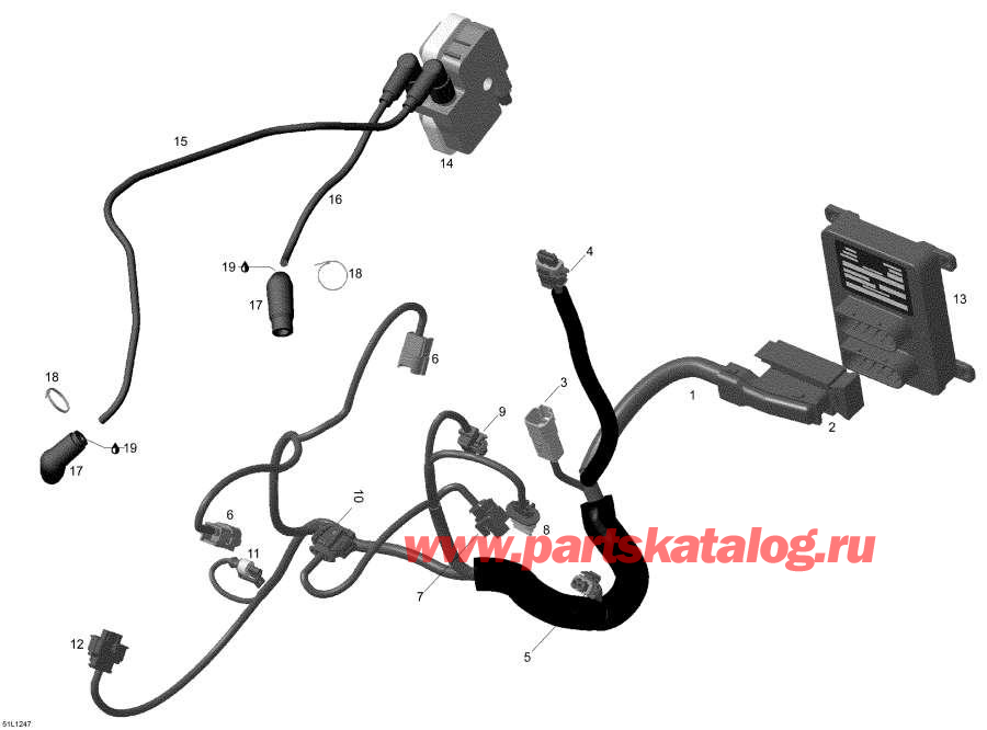 Snowmobiles lynx  - Engine Harness And Electronic Module /     Electronic Module