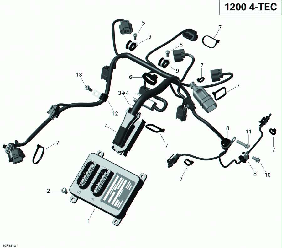  lynx  - Engine Harness And Electric Module -     Electric Module