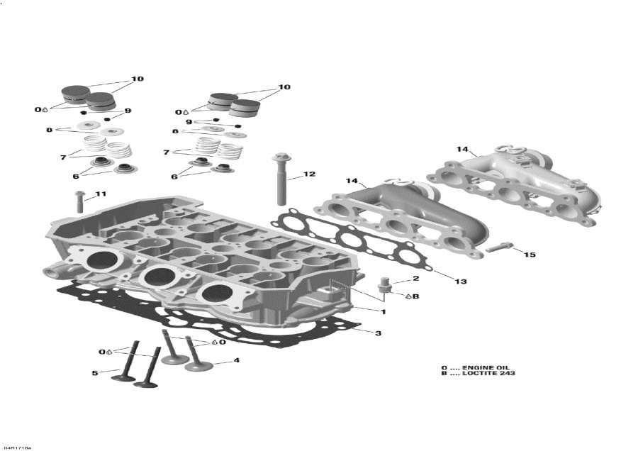 Snow mobile lynx  - Cylinder Head And Exhaust Manifold - 900 Ace