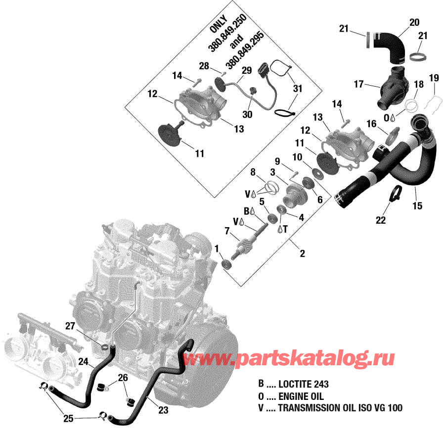 Snowmobile lynx  - Engine Cooling -  